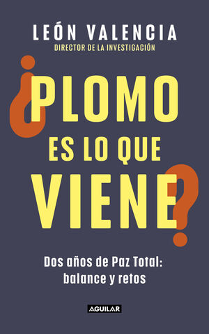 ¿PLOMO ES LO QUE VIENE?. DOS AÑOS DE PAZ TOTAL: BALANCE Y RETOS